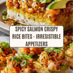 Salmon Crispy Rice Recipe
