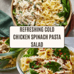 Cold Chicken Spinach Pasta Salad Recipe