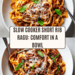 Slow Cooker Short Rib Ragu Recipe