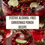 Christmas Punch No Alcohol Recipe