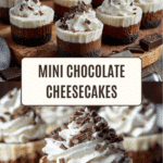Mini Chocolate Cheesecakes Recipe
