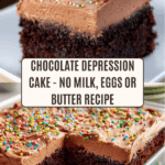 Chocolate Depression Cake - No Milk, Eggs or Butter Recipe