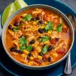 als for New Moms- Chicken Enchilada Soup Recipe