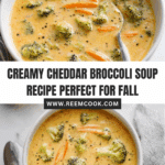 Cheddar Broccoli Soup Recipe