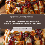 Pull-Apart Sourdough Brie and Cranberry Bread Recipe